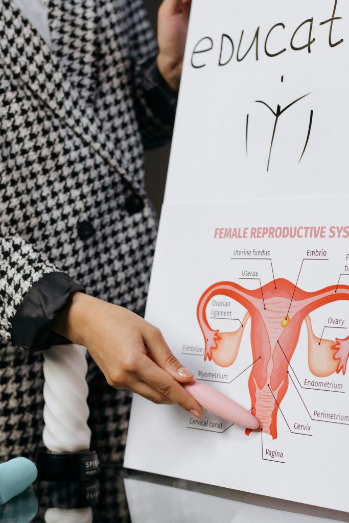 pexels-photo-6770141-6770141 A person presents a detailed diagram of the female reproductive system on a whiteboard.